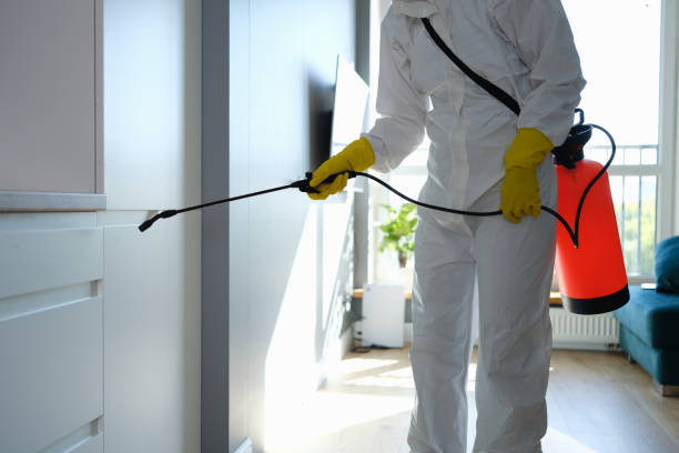 Best Emergency Mold Remediation in Batavia, IL